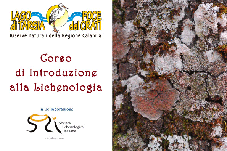 Pubblicato il bando del Corso di Introduzione alla Lichenologia